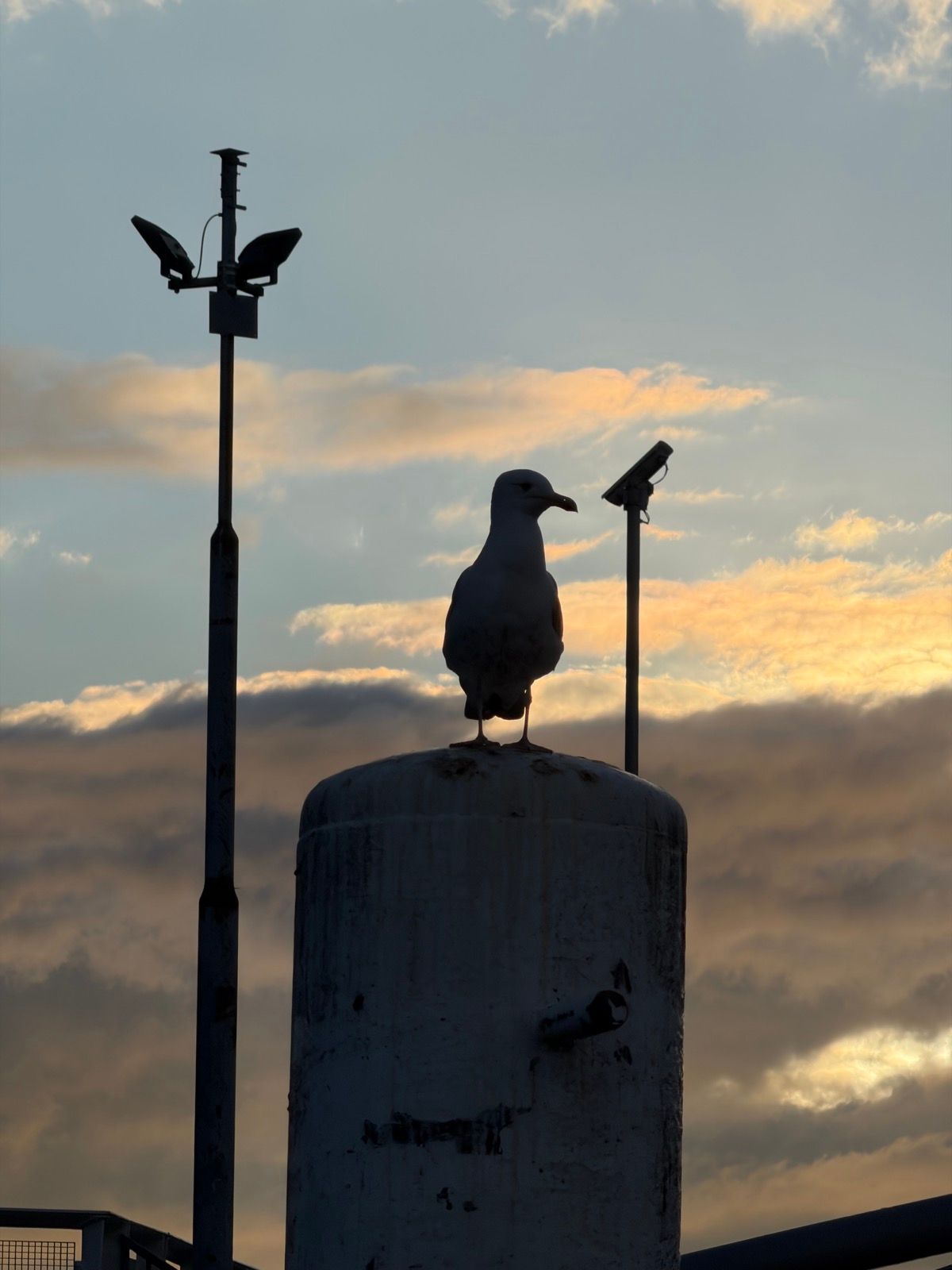 A lone seagull is silhouetted against a dramatic sky, perched atop a large cylindrical industrial structure